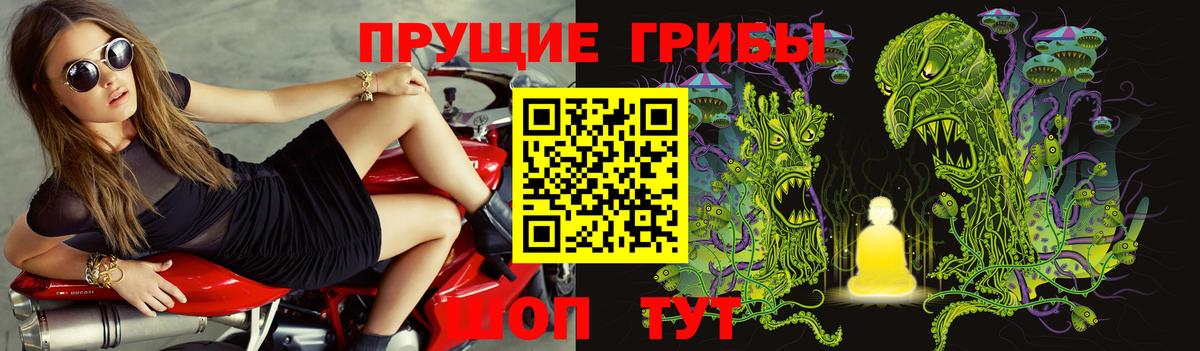 Галлюциногенные грибы мицелий Полысаево